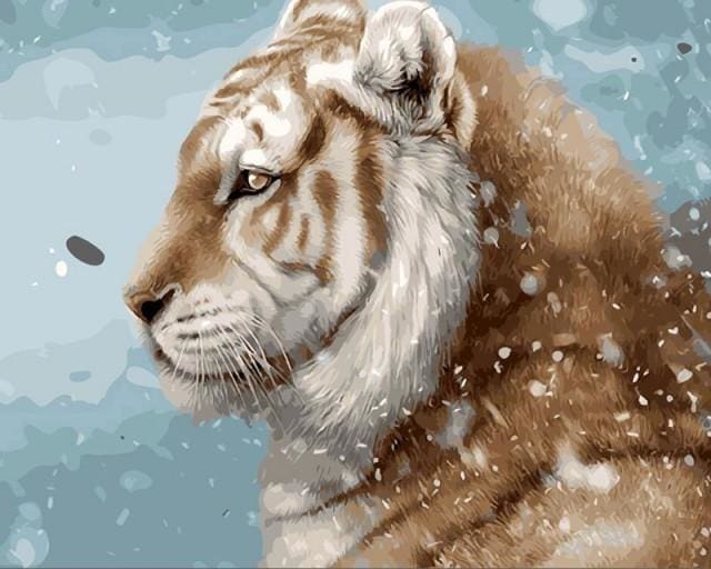 Pintar Por Números - Mirada En La Nieve - Figuredart - Animales