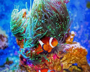 Pintar Por Números - Nemo En Vivo - Figuredart - Animales