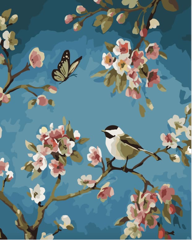 Pintar Por Números - Pájaro 1 - Figuredart - Animales Flores Mariposas Pájaros
