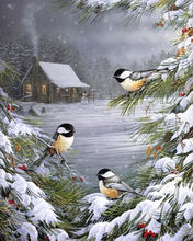 Cargar imagen en el visor de la galería, Pintar Por Números - Pájaros En La Nieve - Figuredart - Animales Paisajes Pájaros