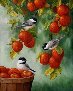 Pintar Por Números - Pájaros En Las Manzanas Rojas - Figuredart - Animales Pájaros