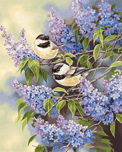 Cargar imagen en el visor de la galería, Pintar Por Números - Pájarp Y Lila - Figuredart - Animales Pájaros