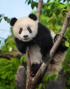 Pintar Por Números - Panda En El Árbol - Figuredart - Animales Pandas Árboles