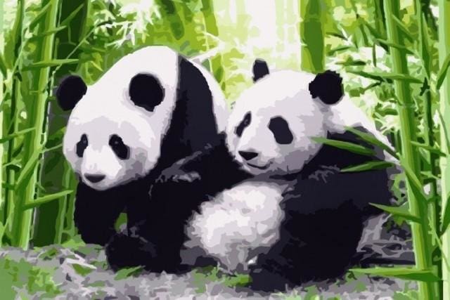 Pintar Por Números - Pandas En Japón - Figuredart - Animales Pandas