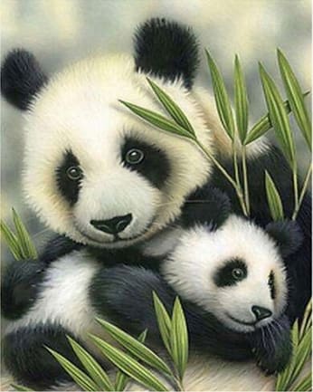 Pintar Por Números - Pareja De Panda - Figuredart - Animales Pandas