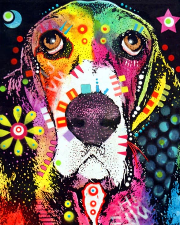 Pintar Por Números - Perro De Color 5 - Figuredart - Animales Perros Pop Art