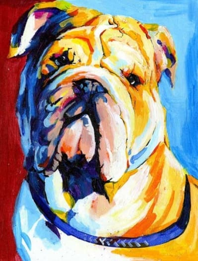 Pintar Por Números - Perro De Color 7 - Figuredart - Animales Perros Pop Art