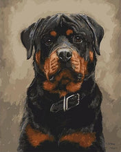 Cargar imagen en el visor de la galería, Pintar Por Números - Perro Negro - Figuredart - Animales Perros