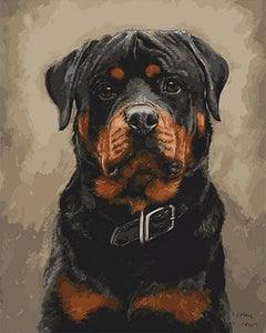 Pintar Por Números - Perro Negro - Figuredart - Animales Perros
