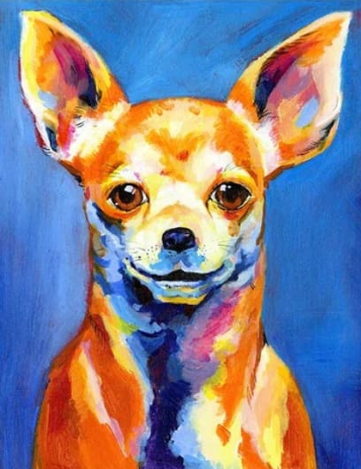 Pintar Por Números - Perro Pequeño 1 - Figuredart - Animales Perros