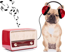 Cargar imagen en el visor de la galería, Pintar Por Números - Perro Que Escucha La Música - Figuredart - Animales Perros