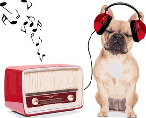 Pintar Por Números - Perro Que Escucha La Música - Figuredart - Animales Perros