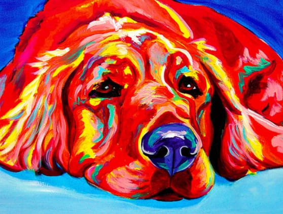 Pintar Por Números - Perro Rojo Tendido En El Suelo - Figuredart - Animales Perros
