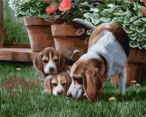 Pintar Por Números - Perro - Figuredart - Animales Perros
