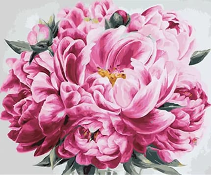 Pintar Por Números - Pink Peony - Figuredart - Flores