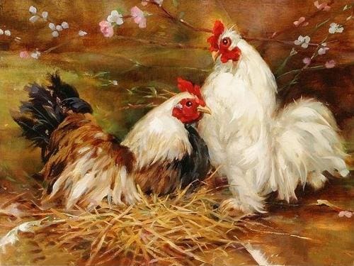 Pintar Por Números - Pollo Deseoso - Figuredart - Animales