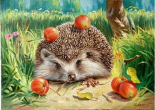 Cargar imagen en el visor de la galería, Pintar Por Números - Puerco EspÁ¬n Y Manzanas - Figuredart - Animales