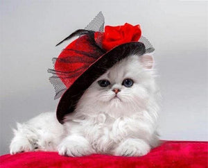 Pintar Por Números - Red Hat Cat - Figuredart - Animales