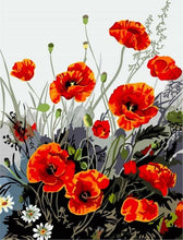 Cargar imagen en el visor de la galería, Pintar Por Números - Rojo Amapola - Figuredart - Flores