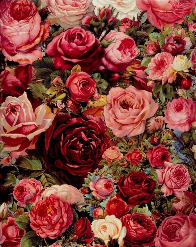 Pintar Por Números - Rosas Rojas Exuberantes - Figuredart - Flores