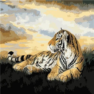 Pintar Por Números - Tigre Agazapado - Figuredart - Animales Tigres