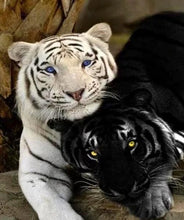 Cargar imagen en el visor de la galería, Pintar Por Números - Tigre Blanco Y Negro - Figuredart - Animales Tigres