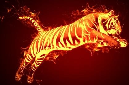 Pintar Por Números - Tigre De Fuego - Figuredart - Animales Tigres