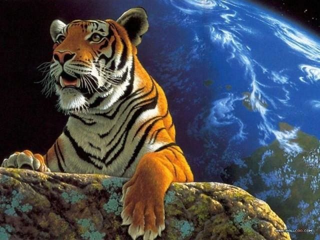 Pintar Por Números - Tigre De La Tierra - Figuredart - Animales Tigres