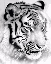 Cargar imagen en el visor de la galería, Pintar Por Números - Tigre Siberiano - Figuredart - Animales Tigres