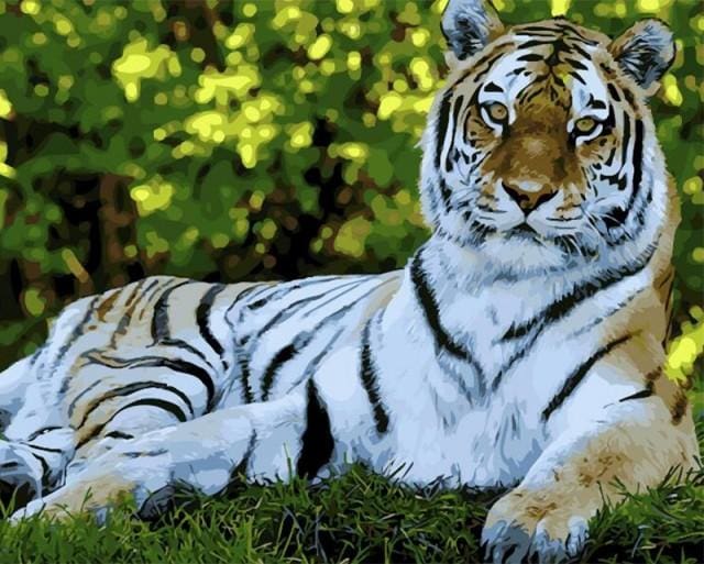 Pintar Por Números - Tigre - Figuredart - Animales Tigres