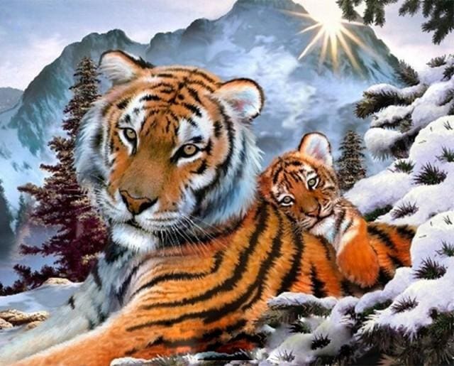 Pintar Por Números - Tigres En La Nieve - Figuredart - Animales Tigres