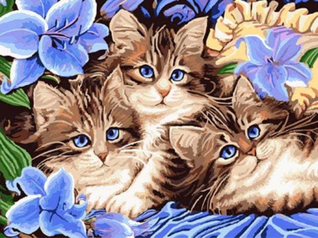 Pintar Por Números - Tres Gatos - Figuredart - Animales Gatos