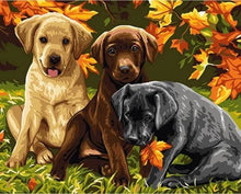 Cargar imagen en el visor de la galería, Pintar Por Números - Tres Perros - Figuredart - Animales Perros