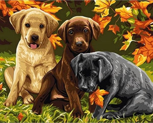 Pintar Por Números - Tres Perros - Figuredart - Animales Perros