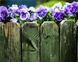 Pintar Por Números - Valla De Color Púrpura - Figuredart - Flores Novedades