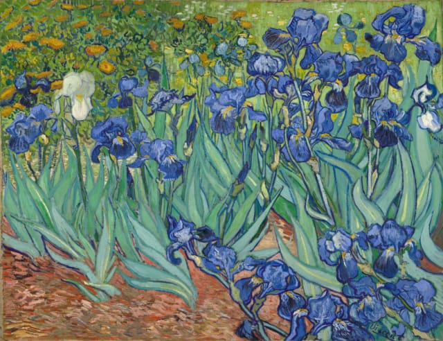 Pintar Por Números - Van Gogh Iris 1 - Figuredart - Flores Reproducción De Obras De Arte Van Gogh