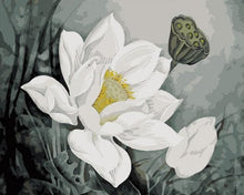 Cargar imagen en el visor de la galería, Pintar Por Números - White Lotus - Figuredart - Flores