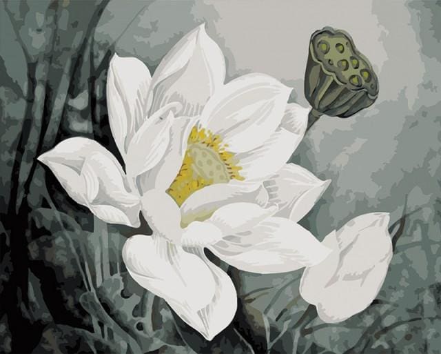 Pintar Por Números - White Lotus - Figuredart - Flores