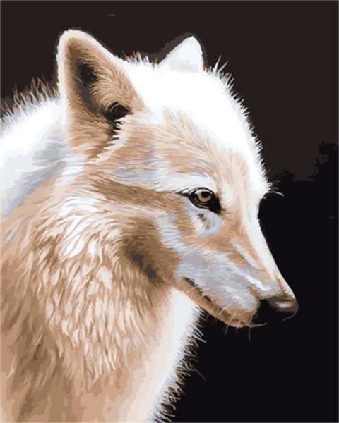 Pintar Por Números - White Wolf - Figuredart - Animales