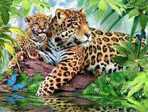 Punto De Cruz Diamante - Punto De Cruz Diamante - El Leopardo Familia - Figuredart - Leopardos Mascotas Punto De Cruz Diamante Animales