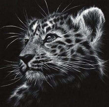 Cargar imagen en el visor de la galería, Punto De Cruz Diamante - Punto De Cruz Diamante - Leopardo Blanco Y Negro - Figuredart - Leopardos Mascotas Punto De Cruz Diamante Animales