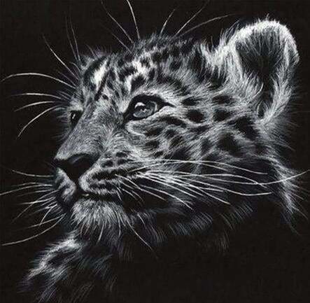 Punto De Cruz Diamante - Punto De Cruz Diamante - Leopardo Blanco Y Negro - Figuredart - Leopardos Mascotas Punto De Cruz Diamante Animales