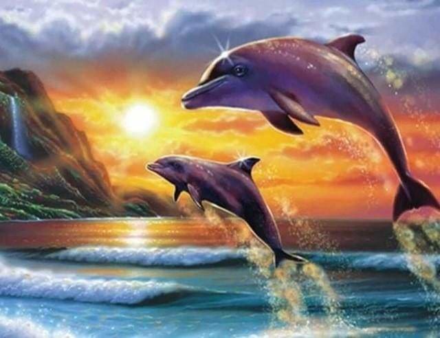 Punto De Cruz Diamante - Punto De Cruz Diamante - Los Delfines Al Amanecer - Figuredart - Delfines Mascotas Punto De Cruz Diamante Animales