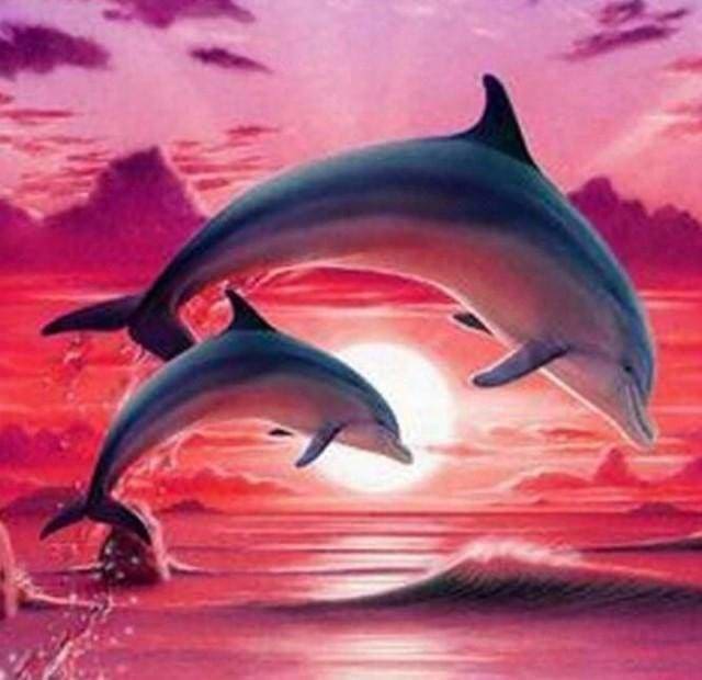Punto De Cruz Diamante - Punto De Cruz Diamante - Los Delfines Al Atardecer - Figuredart - Delfines Mascotas Punto De Cruz Diamante Animales