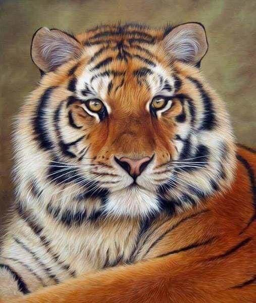 Pintura Diamantes, 5d Diamond Painting 40x50 Tigre Colores