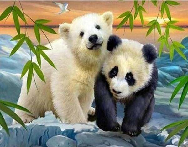 Punto De Cruz Diamante - Punto De Cruz Diamante - Oso Y Panda - Figuredart - Mascotas Oso Pandas Punto De Cruz Diamante Animales
