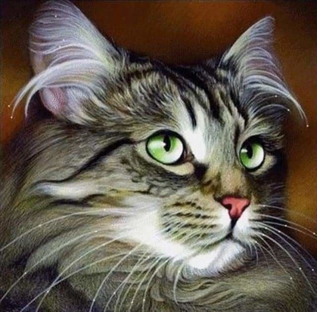 Punto De Cruz Diamante - Punto De Cruz Diamante - Retrato De Gato - Figuredart - Gatos Mascotas Punto De Cruz Diamante Animales