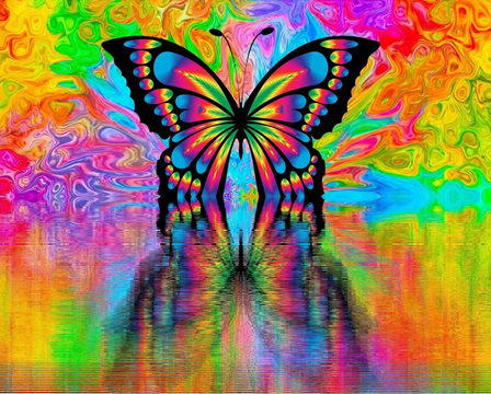 Pintar por números - Reflexión de mariposa